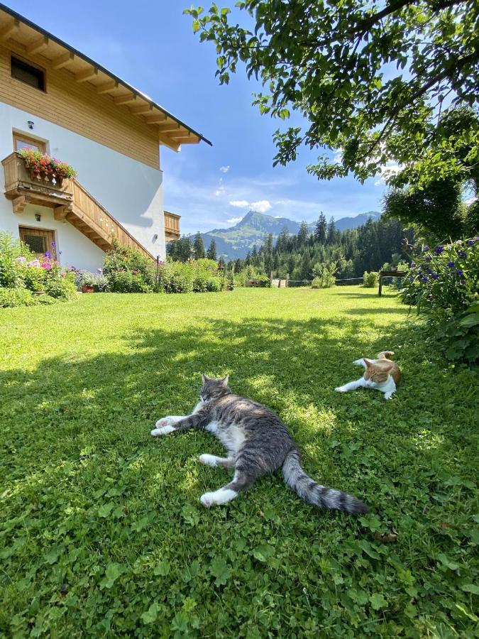 Landhaus Barbara Kitzbuhel Bagian luar foto